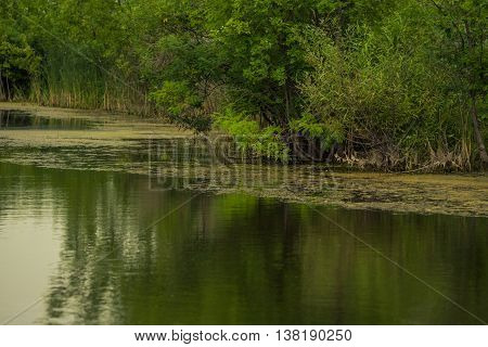 Summer landscape with little river in Russia