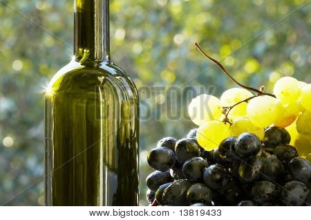 Vin og druemost