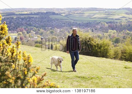Mature Man Taking Golden Retriever For Walk In Countryside