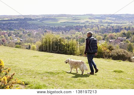 Rear View Of Man Taking Golden Retriever For Walk