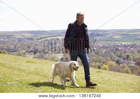 Mature Man Taking Golden Retriever For Walk In Countryside