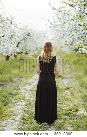 Beautiful young woman in long dress in a blooming spring garden backview