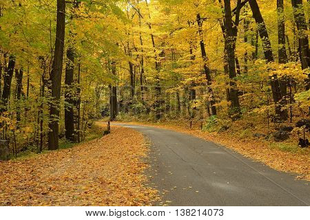 Autumn Colors Along a Rural Road in Devils Lake State Park near Baraboo Wisconsin