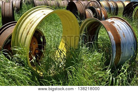 The steel wheels and rims of old  tractors and vintage machinery are in rows  found in a field of long grass.