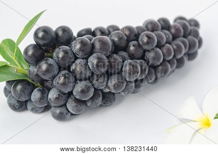 Grapes On White Background.