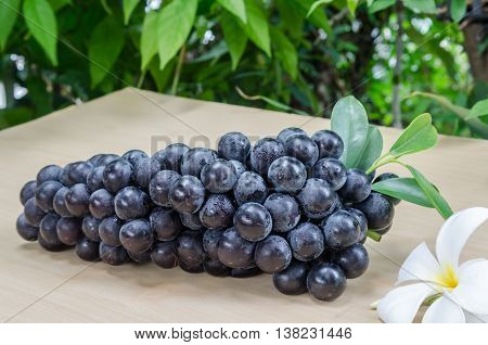 Purple grapes, on a background of green trees, fresh fruit for health.