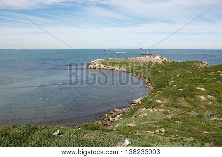 Penguin Island scenic bay view with vegetated coastal dunes, nesting birds and Indian Ocean seascape under a cloudy sky in Rockingham, Western Australia.