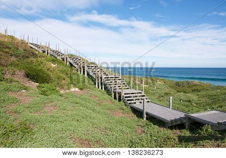 Elevated boardwalk through the green coastal dunes with nesting sea gulls and Indian Ocean seascape under a blue sky with clouds in Rockingham, Western Australia.