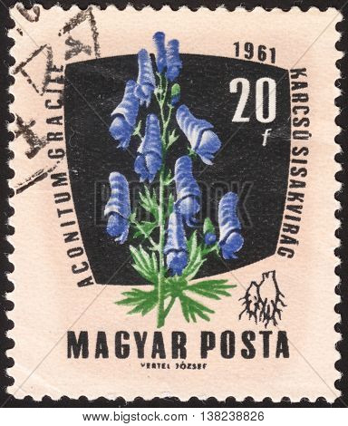 MOSCOW RUSSIA - DECEMBER 2015: a post stamp printed in HUNGARY shows a flower Aconitum Gracile the series 