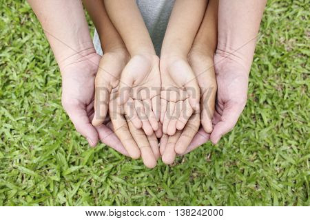 Adult hands holding kid hands over green grass background.