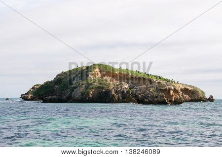 Limestone rock island with native flora and nesting pied cormorants in the Indian Ocean waters off the coast of Rockingham, Western Australia.