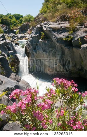 Alcantara River Reserve