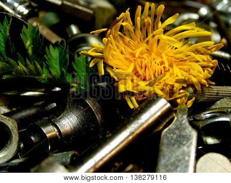conceptual pictures of industry influence on nature