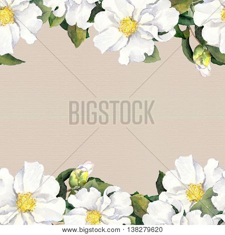 Foral pattern with white flowers magnolia. Watercolor