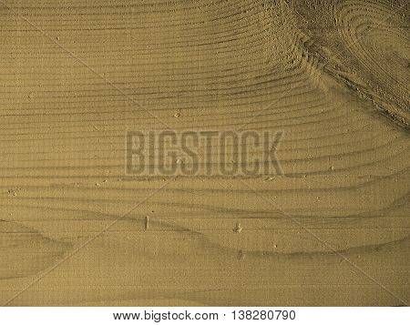 Pine Wood Background Sepia