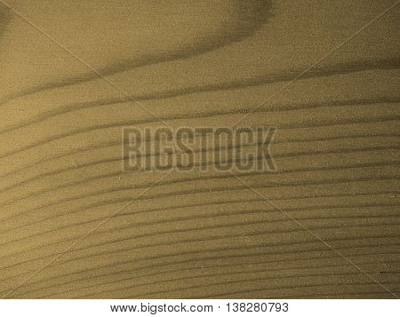 Larch Wood Background Sepia