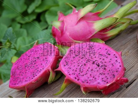 Dragon Fruit, Tropical Fruits, Vietnam Agriculture