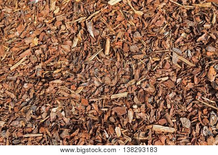 Texture of Coarse dried Pine Bark Nuggets ideal for topping garden bed to retain moisture