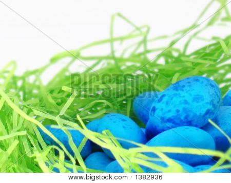 Blaue Ostereier auf Lime Green Nest