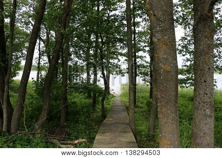 Summer at the lake Naroch, the largest lake in Belarus