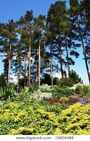Flores no Parque