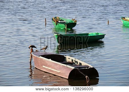 Summer at the lake Naroch, the largest lake in Belarus