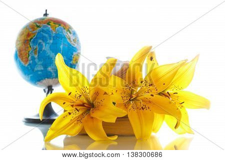Globe with books and flowers on a white background