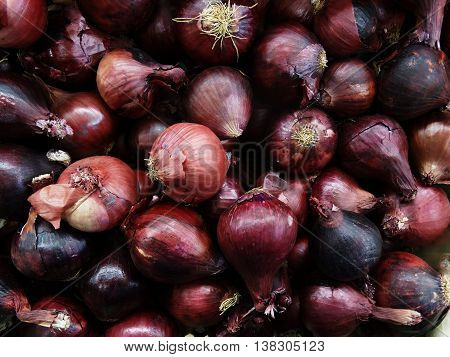a lot of onions on a counter