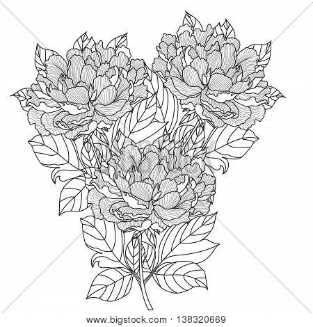Peony bouquet. Vector. Coloring book page for adults. Hand drawn artwork. Love bohemia concept for wedding invitation, card, ticket, branding, logo, label. Gift for girl, women. Black and white