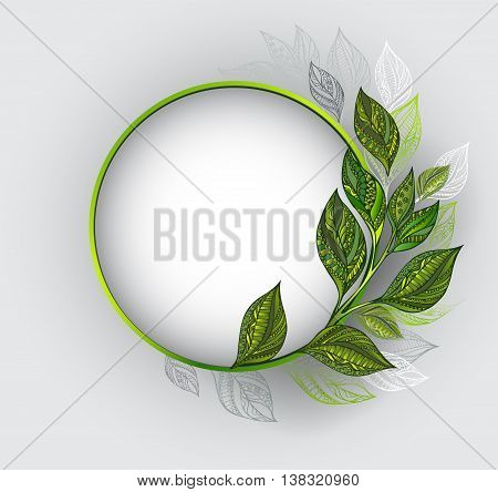 Round banner with a green frame decorated with patterned green and gray leaves of tea on a gray background. Tea design.