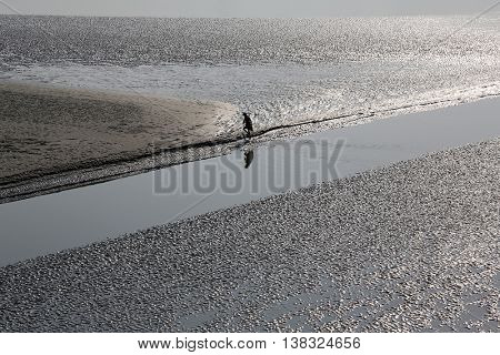 CANNING TOWN, WEST BENGAL, INDIA - FEBRUARY 13: During low tide the water in the river Malta falls so low that people walk to the other shore in Canning Town, India on February 13, 2014.