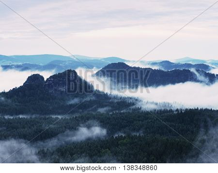 Summer Sunrise Forest After Heavy Rain. Beautiful Mountain Within Inversion.