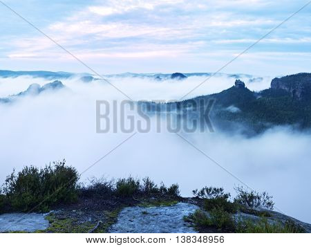 Summer Sunrise Forest After Heavy Rain. Beautiful Mountain Within Inversion.