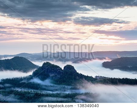 Summer Sunrise Forest After Heavy Rain. Beautiful Mountain Within Inversion.