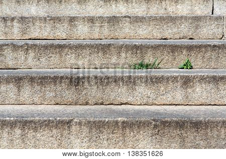 Abstract modern concrete stairs to building background. Cement dirty grunge staircase with little grass sprout. Stairway outdoors closeup