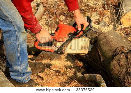 chain saw wood cutting autumn power saw