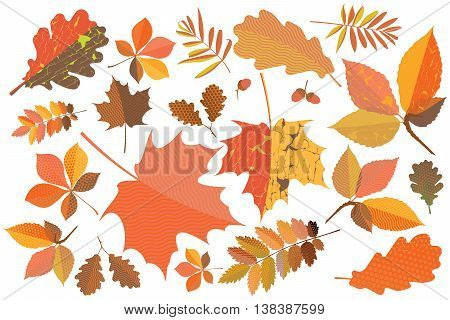 Set of colorful autumn leaves with geometric texture and craquelure
