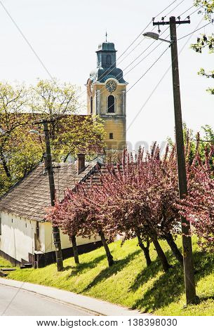 Blooming sakura trees and old church. Seasonal scene. Spring time. Vertical composition. Beautiful place.