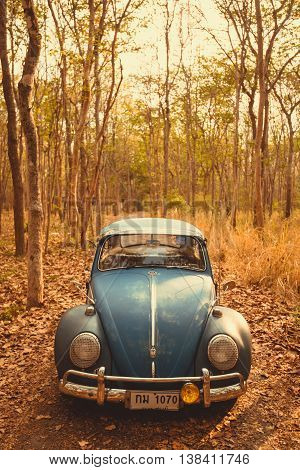 Vintage Car Volkswagen Retro Blue Color In Forest Leaves Brown