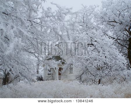 Nevado