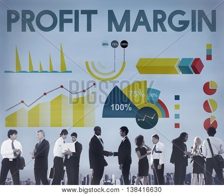 Profit Margin Percentage Business Chart Concept