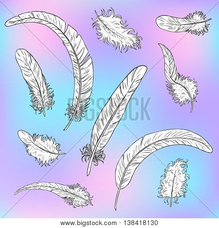 Set of ten white feathers with a black contour on an abstract light background of blue, pink and lilac shades