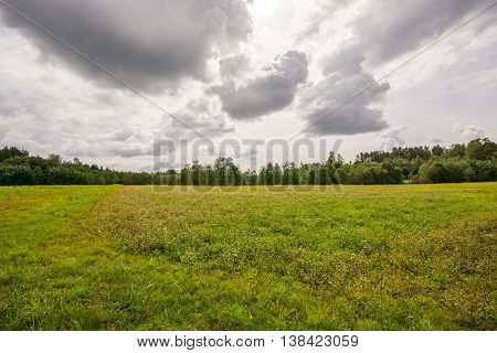 Green field, sunny day with masive clouds.