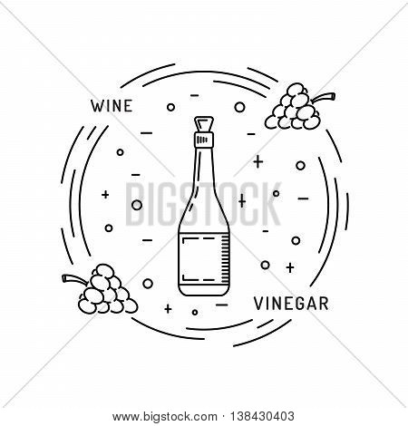 Wine vinegar in the bottle vector outline.