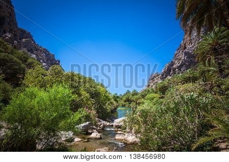 Preveli palm forest in Crete island, Greece. This amazing tropical forest is located in the gorge of Kourtaliotis near the beach of Preveli.