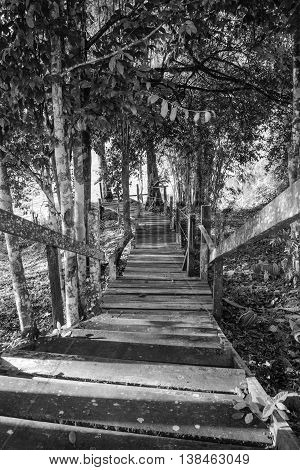 A wooden pathway at Batang Ai Longhouse Resort, Sarawak, Malaysia.