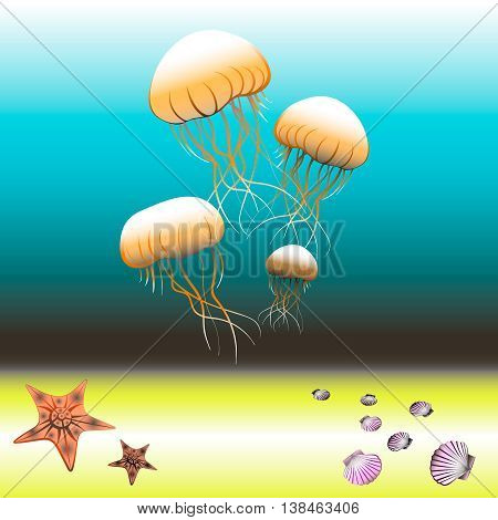 Vector image with jellyfish, starfish and shell. Sea bottom
