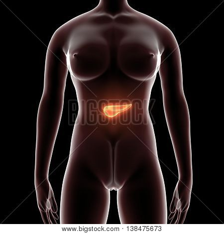 3D render and 3d illustration The ova are defined as the larger gametes in a heterogamous reproduction system, while the smaller, usually motile gamete, the spermatozoon, is produced by the male.