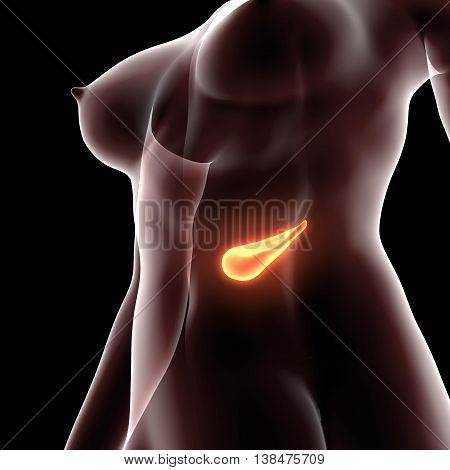 3D render and 3d illustration The ova are defined as the larger gametes in a heterogamous reproduction system, while the smaller, usually motile gamete, the spermatozoon, is produced by the male.