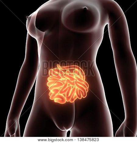 3D render and 3d illustration The ova are defined as the larger gametes in a heterogamous reproduction system, while the smaller, usually motile gamete, the spermatozoon, is produced by the male.